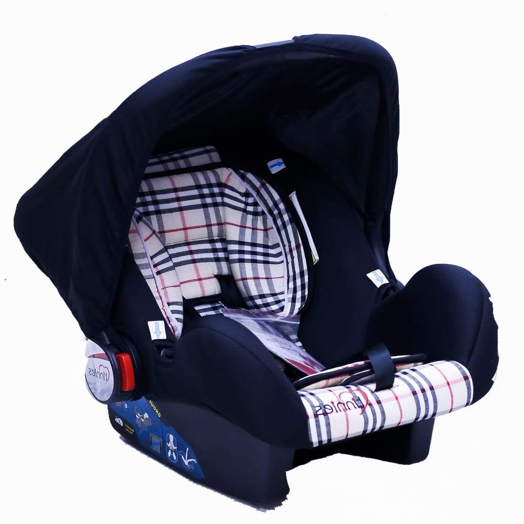 Baby Carry Cot 2