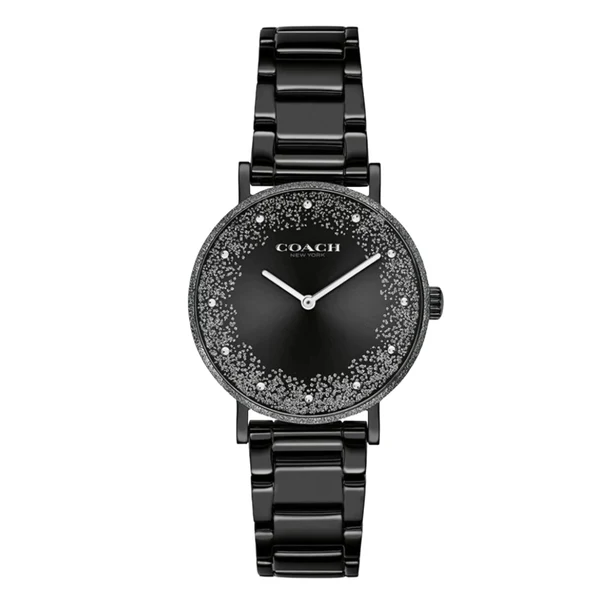 Bold Coach Black Stainless Watch — 027