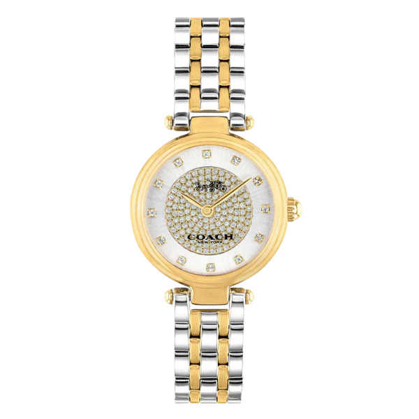Graceful Coach Park Two-Tone Watch — 034