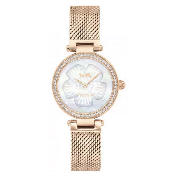 Luminous Coach Park Rose Gold Watch — 037