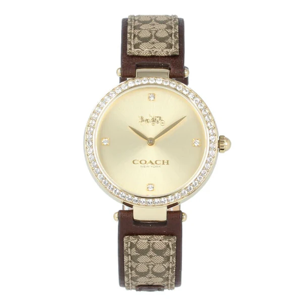 Refined Coach Park Brown Leather Watch — 039