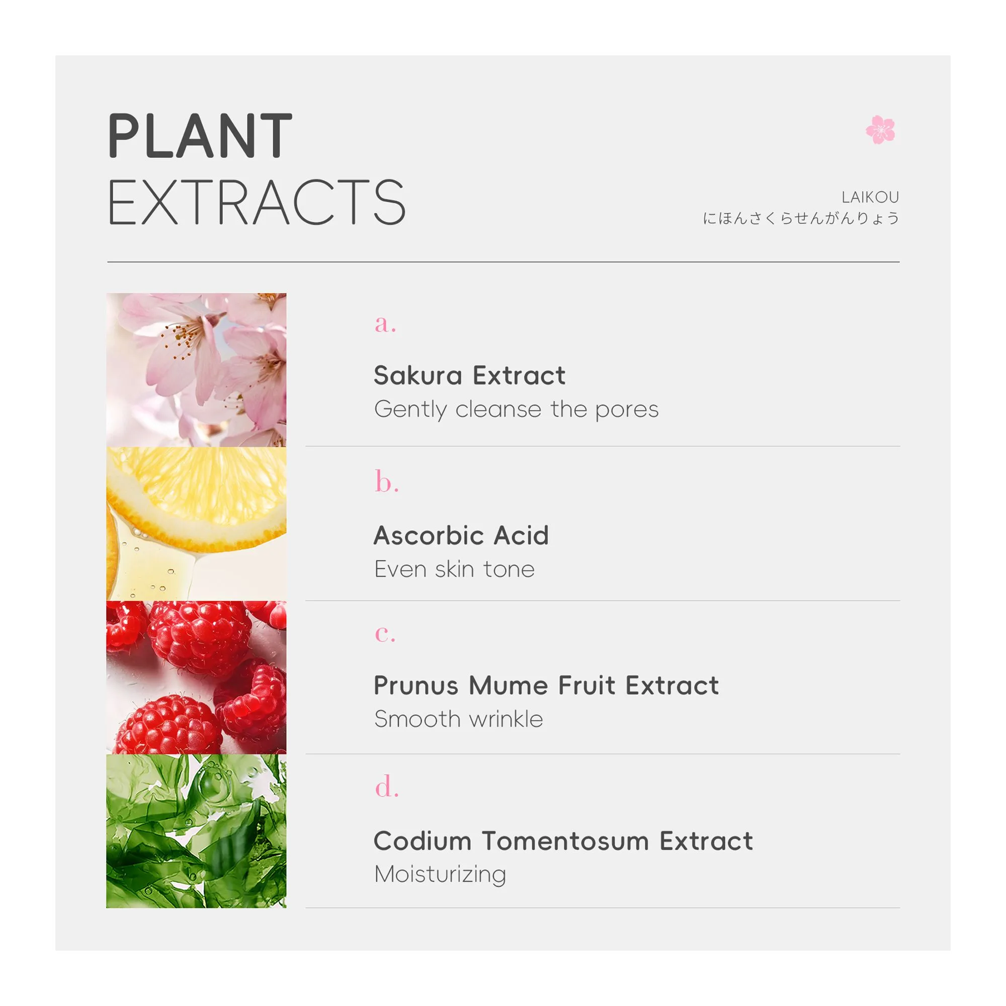 Comfortable casual laikou japan sakura cleanser, ascorbic acid, for all types of skin, 150g, lk97868a
